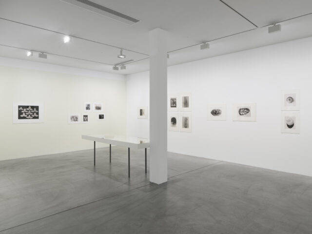 Fotostiftung Schweiz | Binia Bill – Images and Fragments